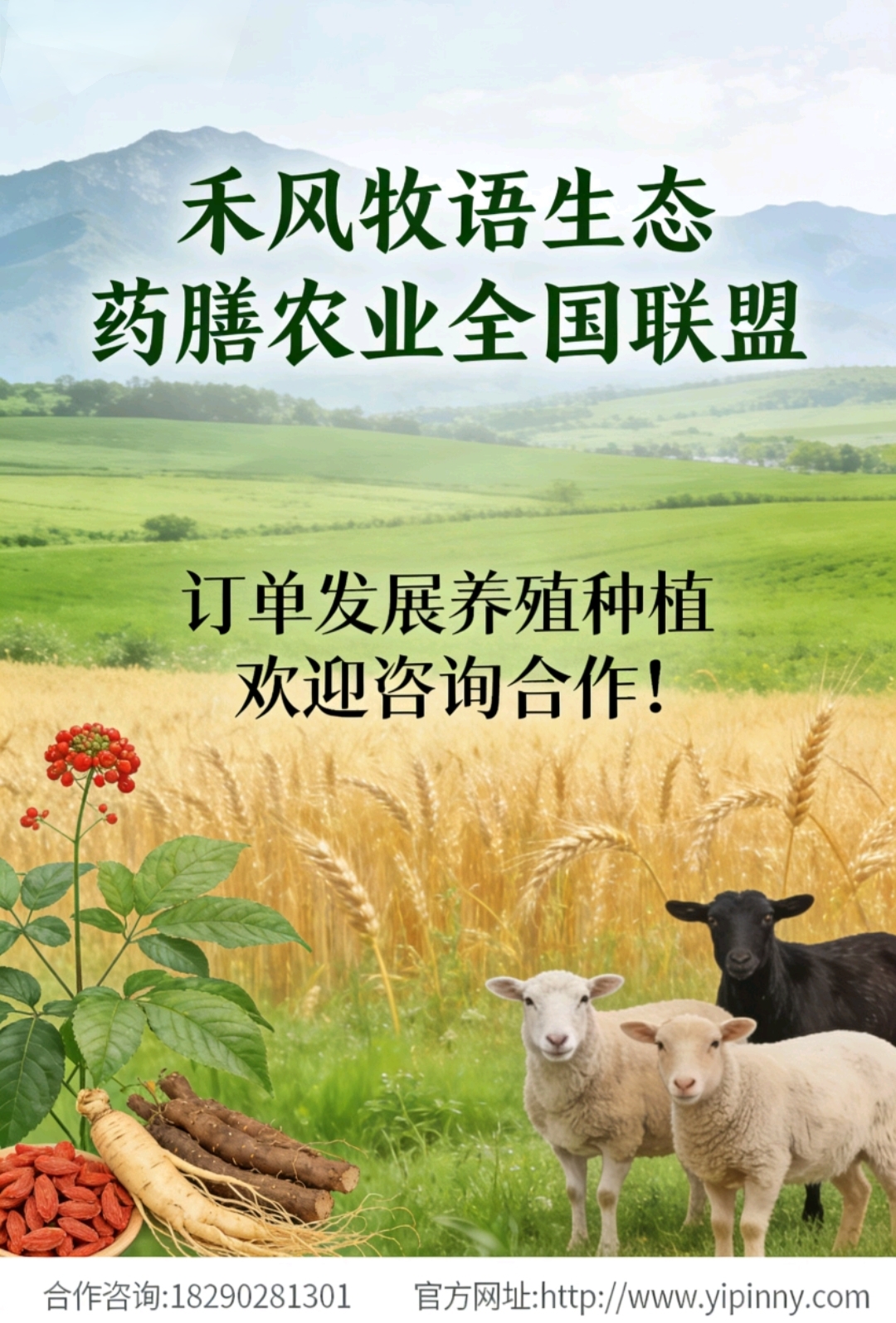 IMG_20251217_064558.jpg IMG_20251217_064558.jpg